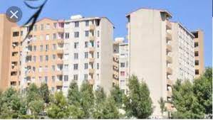 ኢትዮጵያ በውጭ ሀገራት የሚሰማሩ ስራ ተቋራጭ ድርጅቶችን የማሳደግ እቅድ እንዳላት ተገለጸ