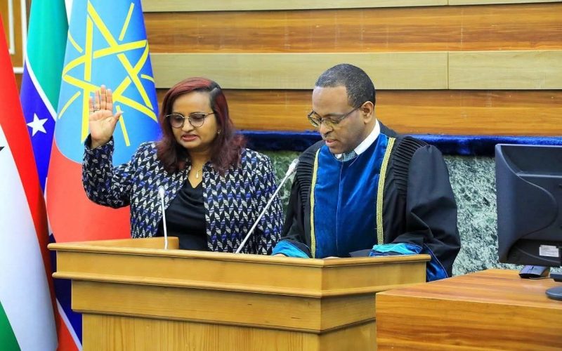 ወ/ሮ ሃይማኖት ዘለቀ የመገናኛ ብዙኃን ባለሥልጣንን እንዲመሩ ተሾሙ