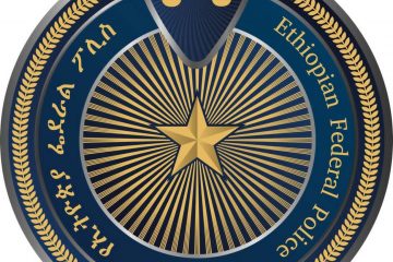 ፖሊስ ከ40 ሺህ በላይ ዜጎችን በህገወጥ መንገድ ያዘዋወሩ ተጠርጣሪዎች መያዙን ገለጸ