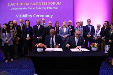ከ300 በላይ የአውሮፓ ኩባንያዎች በኢትዮጵያ መሰማራታቸው ተገለጸ
