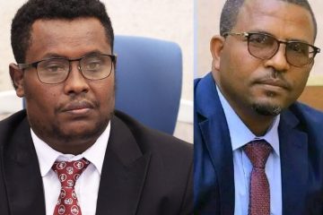 መንግሥት ከ600 በላይ እስረኞችን ከእስር ለቀቀ